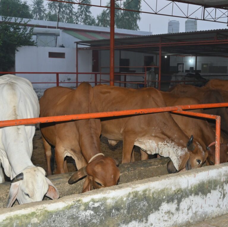 WhatsApp Image 2026-01-21 at 1.46.21 PM