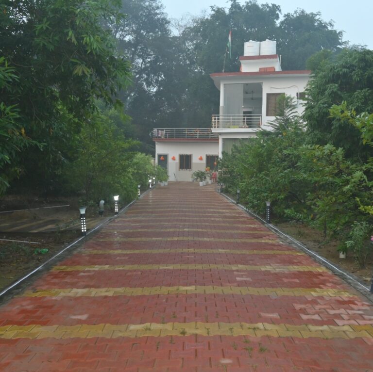 WhatsApp Image 2026-01-21 at 1.46.26 PM